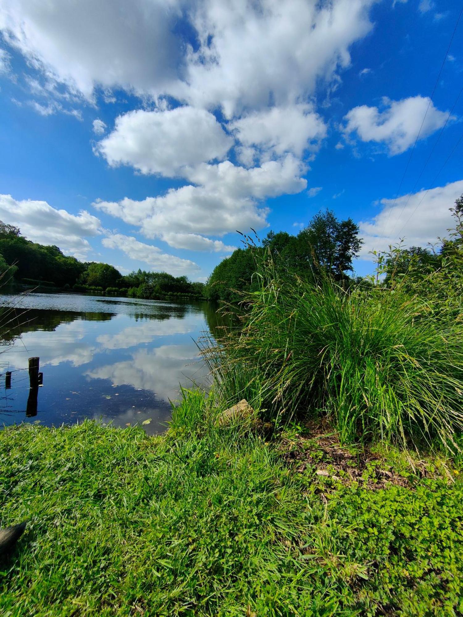 Gite De L Etang Du Planchon Balledent Eksteriør billede